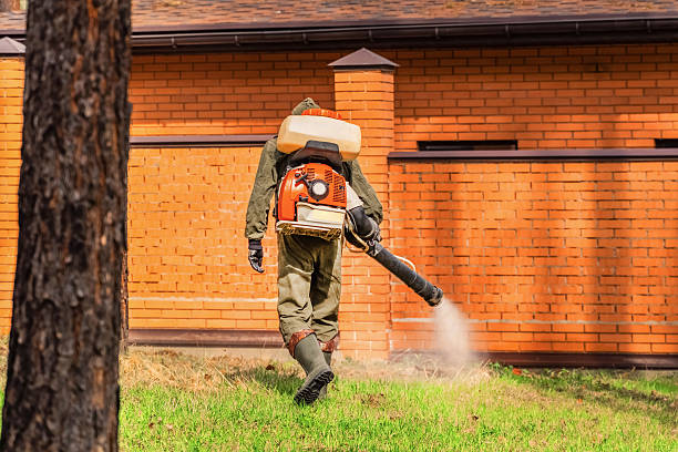 Trusted Ant Control service in West Leechburg, PA - Nex Pest Control